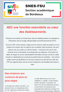 Lettre d'information OSTIC - AED - 1 oct 2024