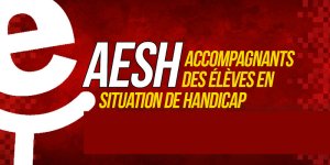 Mobilisé.es le 6 février pour la reconnaissance des AESH