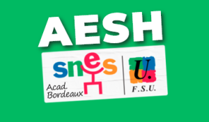 AESH : des avancées dans les droits sociaux - mais toujours pas de statut !