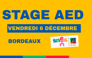 Stage AED - 6 décembre 2024 à Bordeaux