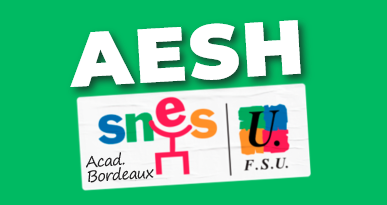 AESH : des avancées dans les droits sociaux - mais toujours pas de statut !