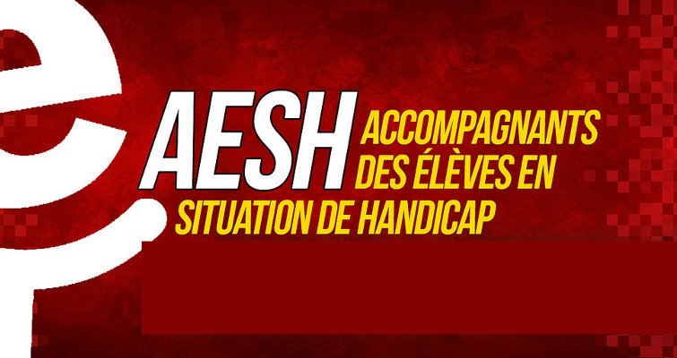 Mobilisé.es le 6 février pour la reconnaissance des AESH